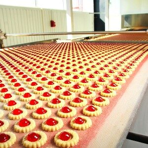 Food Processing